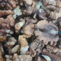 کار در کار گاه خشکبار