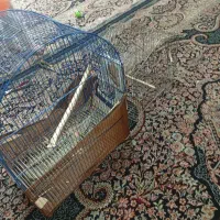 قفس پرنده|لوازم جانبی حیوانات|مشهد, تلگرد|دیوار