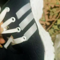 کتونی نو و استفاده نشده|کیف، کفش، کمربند|قم, اسمعیل آباد|دیوار