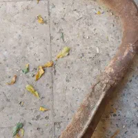 کمک فنر  پراید با خمره وسط|قطعات یدکی و لوازم جانبی|شیراز, کوشک میدان|دیوار