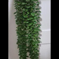 گل آویز شمشاد ۱۶ شاخه ای|گل مصنوعی|تهران, مقدم|دیوار