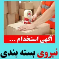 نیروی بسته بندی خانم و آقا