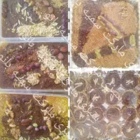 حلوا ۴۰ گیا