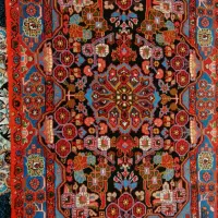 قالی کله گلی