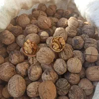 گردو|خوردنی و آشامیدنی|گنبد کاووس, |دیوار