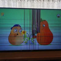 تلویزیون 43 اینچ