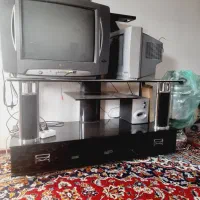 تلویزیون و