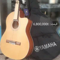 انواع گیتار|گیتار، بیس، امپلیفایر|تفرش, |دیوار