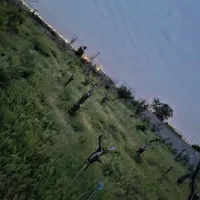 باغ