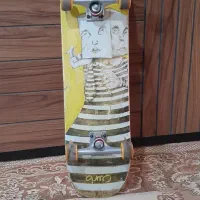 اسکیت برد حرفه ای