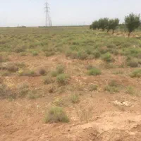 فروش ۲۰۰۰ متری کاربری باغ و باغچه|فروش دفتر صنعتی، کشاورزی، تجاری|تهران, سازمان برنامه جنوبی|دیوار