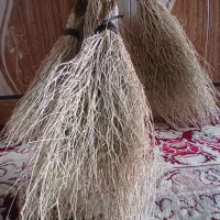 جارو دس سازی ب شرت