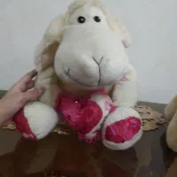 عروسک های کاملا نو|اسباب‌بازی بچه|بروجرد, |دیوار