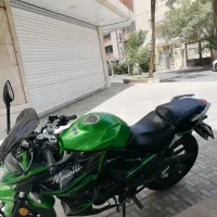 مگلی۲۰۰درحدخشک