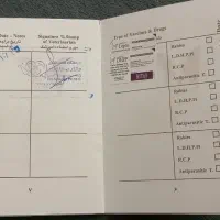 توله سگ دوماهه ماده|سگ|پردیس, فاز ۸|دیوار