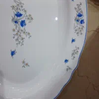 رمانتیک فرانسه ارکوپال|ظروف سرو و پذیرایی|تهران, تهرانویلا|دیوار