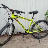 دوچرخه  26 دنده ای|دوچرخه، اسکیت، اسکوتر|چناران, |دیوار