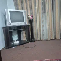 تلویزیون و دیجیتال