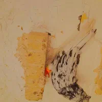 دمسفید درجه یک|پرنده|اهواز, منازل کارون|دیوار