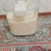 جابرنجی مارک لیمون