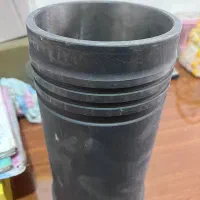 بوش قایم همراه با اورینگاش
