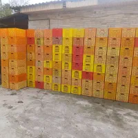 سبد مرغی در حد نو،تعداد۳۹۲عدد