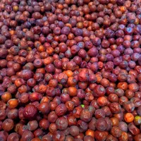 عناب|خوردنی و آشامیدنی|کرج, شعبان‌آباد|دیوار