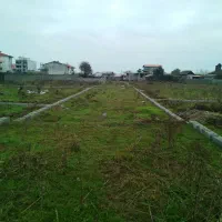 زمین با قطعات تفکیکی جنب سواحل زیبای گیسوم|فروش زمین و ملک کلنگی|پره‌سر, |دیوار