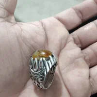 عنگوشتر سلامانی اصل همه چیز وازحه