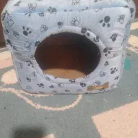 خانه سگ وگربه