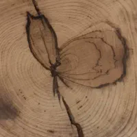 میز عسلی یا کنارسالنی باچوپ کاملا طبیعی|مبلمان خانگی و میز عسلی|تهران, پرستار|دیوار