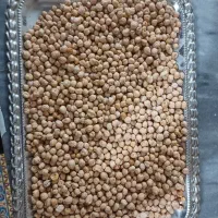 نخودمحلی درجه یک