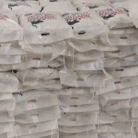 خاک گربه  نویان  جهت پت شاپ ها و پرورش دهنده ا