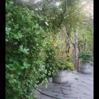 استخدام سرایدار باغ جوپار|استخدام سرایداری و نظافت|ماهان, |دیوار