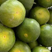 نارنگی شیرین ریز و درشت