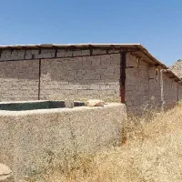 فروش یک واحد گاوداری به قیمت زمین کشاورزی|فروش دفتر صنعتی، کشاورزی، تجاری|نورآباد ممسنی, |دیوار