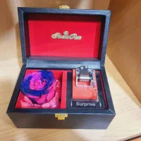 باکس گل جاودان اسپیناس رز کد ۹۴ پلکسی|گل و گیاه طبیعی|تهران, میدان ولیعصر|دیوار