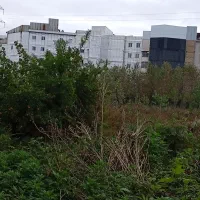 ۱۴۰ متر  فرهنگیان ، پشت باشگاه یزدان