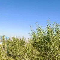 باغ ۲۰۰۰ متری در منطقه خوش آبوهوای سیوان|فروش دفتر صنعتی، کشاورزی، تجاری|مرند, |دیوار