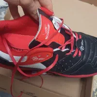 کفش سالنی اصل