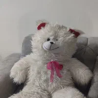 شاسخین