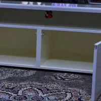 زیر تلویزیونی