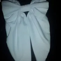 پاپیون اسکرانچی