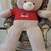 خرس تدی خارجی