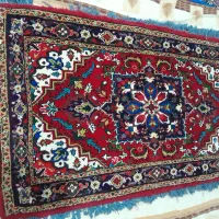 فرش زرنیم|فرش|سهند, |دیوار