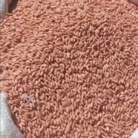 ی کیسه گندم سم زده بذری