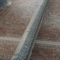 فرش ۲۰متری|فرش|کرمانشاه, |دیوار