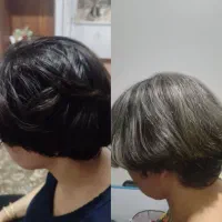 شینیون ورنگ ولایت  تخفیف بلک فرایدی|خدمات آرایشگری و زیبایی|سبزوار, فرهنگیان|دیوار