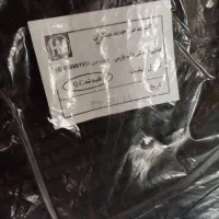 پژوپارسtu5 مالتی پلکس مدل۹۶|خودرو سواری و وانت|زنجان, |دیوار