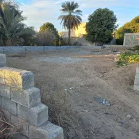 زمین مسکونی نخلستان ۵۱۲ متر|فروش زمین و ملک کلنگی|کهنوج, |دیوار